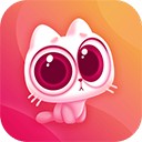 猫咪直播