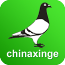 中国信鸽信息网最新版