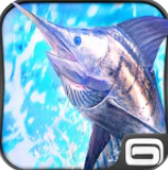 垂钓之王中文版破解版下载