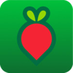 叮咚买菜app
