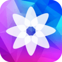 精选壁纸app