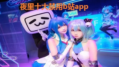 夜里十大禁用b站app