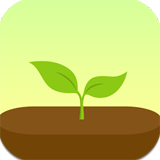 forest专注森林破解版