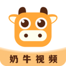 奶牛视频剪辑