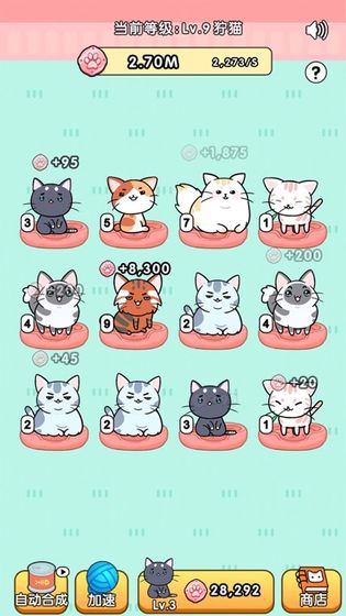 我的小猫花花