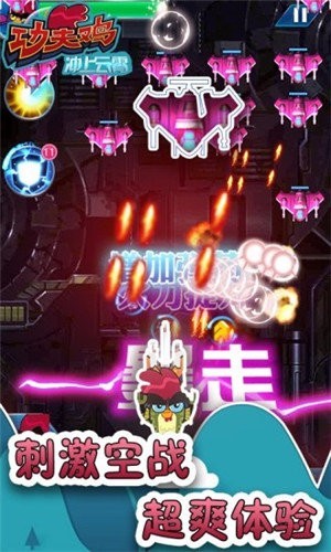 功夫鸡红包版