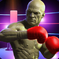 拳击2020战斗之星v1.0.0