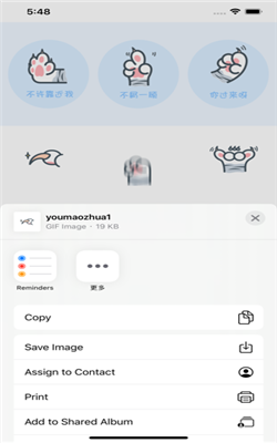 有猫爪