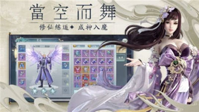 只为飞仙