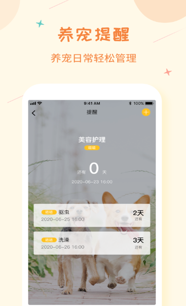 爱宠纪