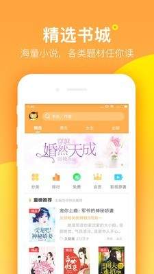 七星猫小说
