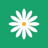 花帮主