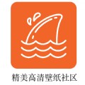 飞鲨壁纸