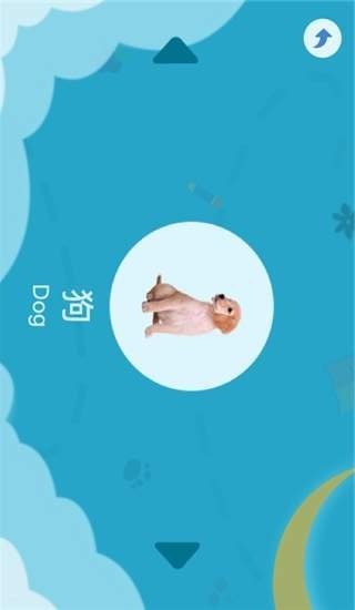 点点趣学
