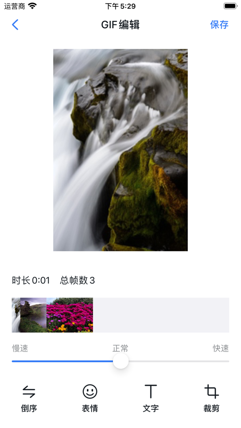 GIF专家