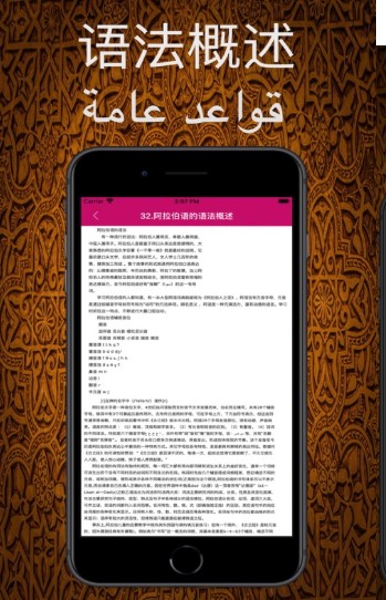 小熊学习