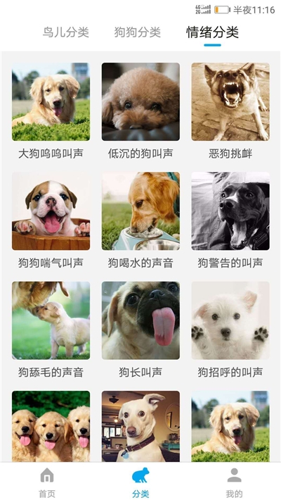 万能动物翻译器