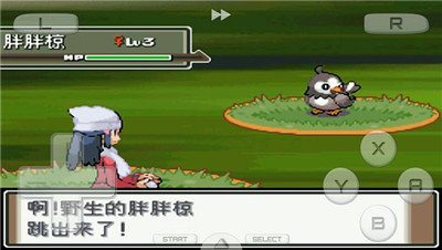 口袋妖怪空之花神